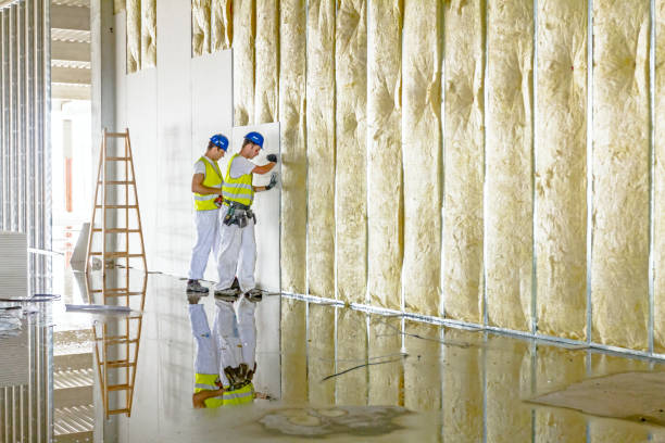 Best Blown-In Insulation  in Swansboro, NC